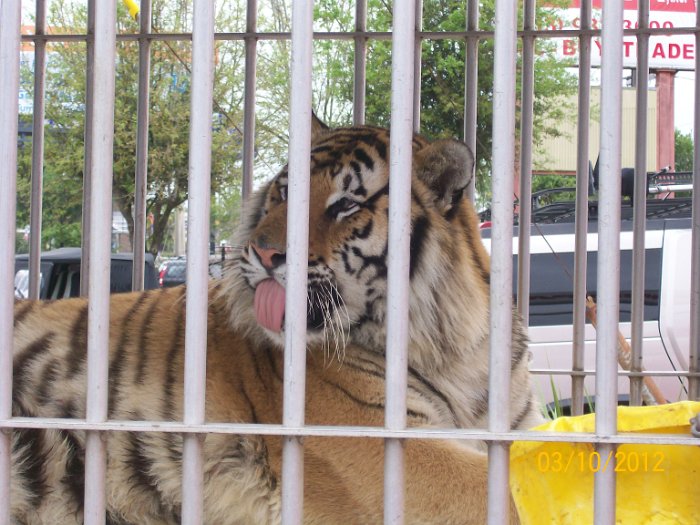 2012-Mar-10HGR4X4_4Wheelparts 016